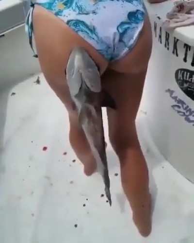 What's this fish called 
