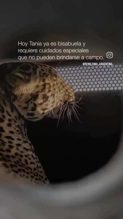 Dedicado a los politicos de mierda que solo quieren viejos meados en los billetes. 