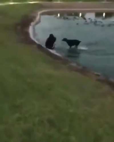 Maybe Maybe Maybe