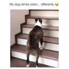 He does it so gracefully