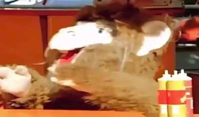 Las locuras del extraterrestre, 1988