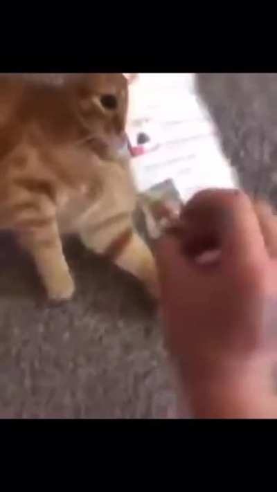 Don’t know if this counts but it’s funny