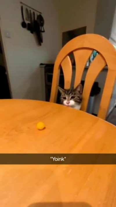 yum