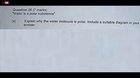 Test Answer That Make You Go WTF