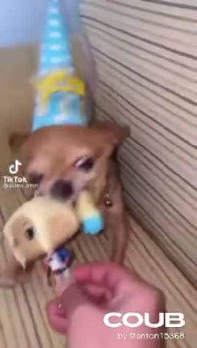 Mano oxi que medo o cachorro teve