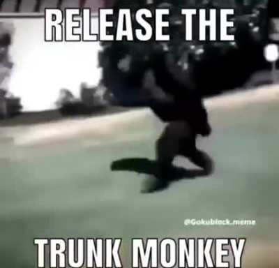 trunk monkey