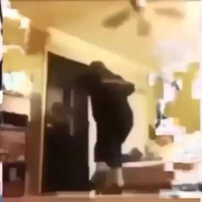 chorão anti-furry