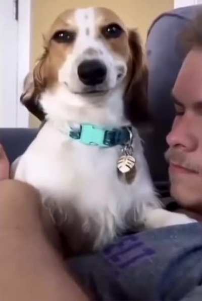 missing owner