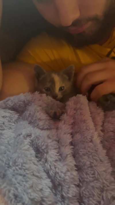 Found our kitten in the sewer (yes that’s a frog on her)