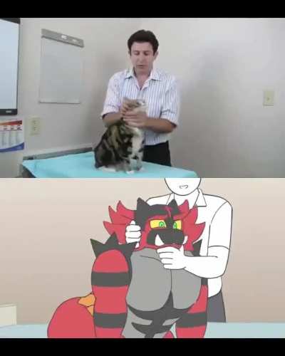 Kediye masaj yapma