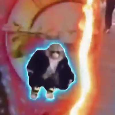 Swag monkey 😎