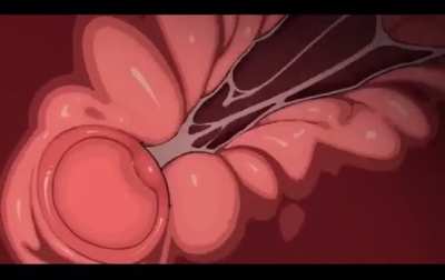 Yiff