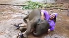 Happiest elephant you'll see today.