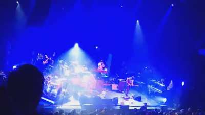 Modest Mouse - Horn Intro (live)
