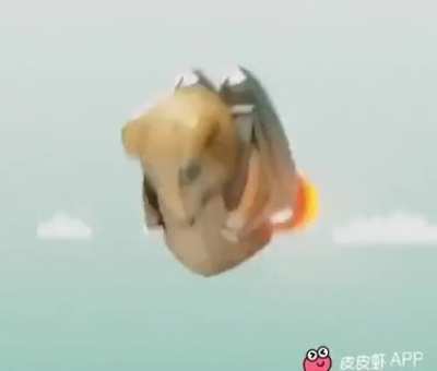 To the moon!