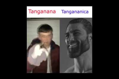 Sin intención de ofender ._.