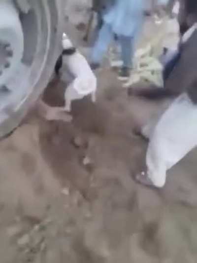 WCGO trying to stop dogs fighting?