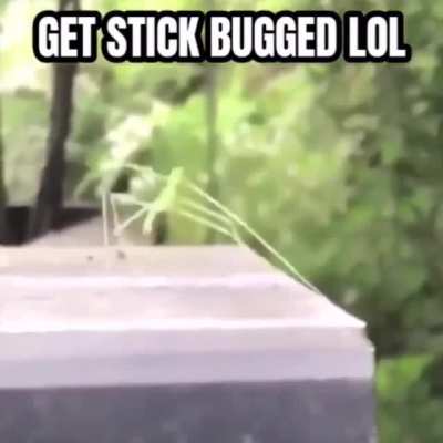 Get stickbound lol
