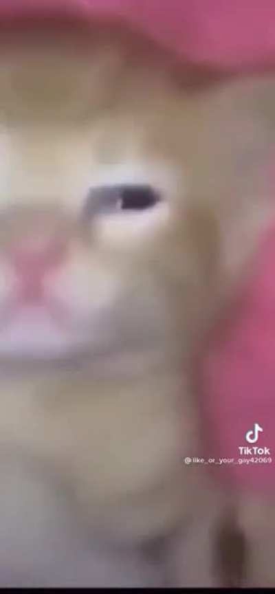 Shit