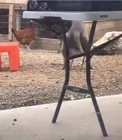 How Pitckens are made.