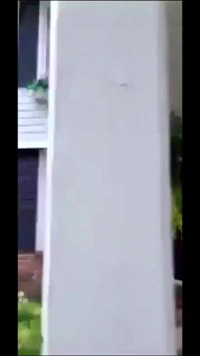 Liberal BLM protestors in Minnesota trespass onto Republican senator's property to harass him for hours