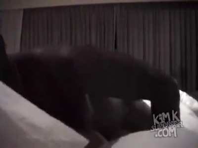 Ray J clapping Kim Kardashian's cheeks in prone bone while she talks dirty until he busts on her
