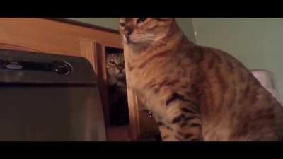 Sneak attack