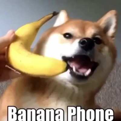 Orson Phone