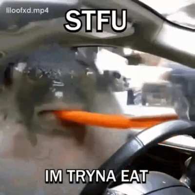 cant talk