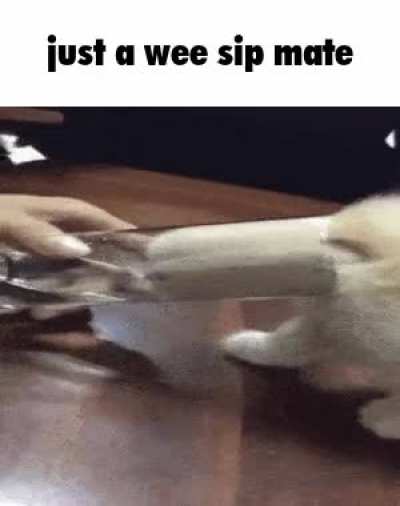 Sip