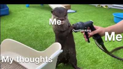 well, i’m at least trying