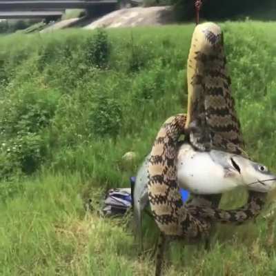 Fishing in Bayou...