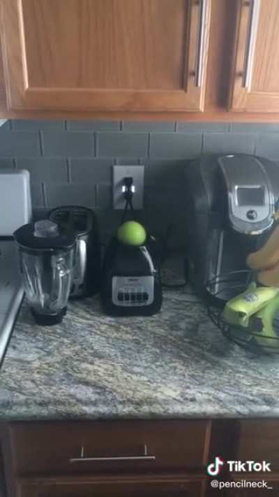 Took the apple long enough
