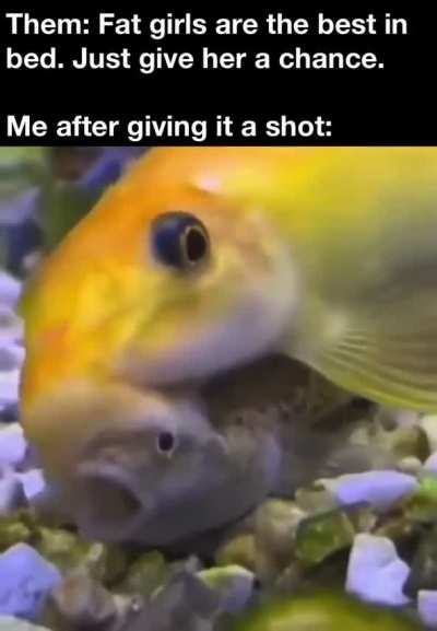 Still pretty good