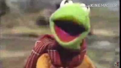 Kermit fucking dies