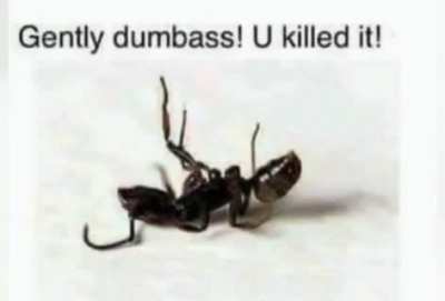 :(