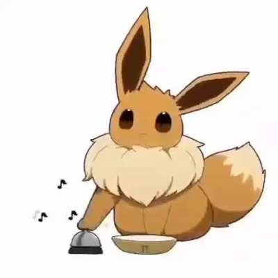 Last chance to look at me, trainer.
