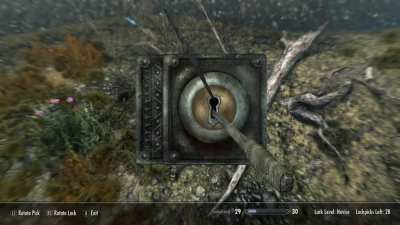 Perfectly cut Skyrim