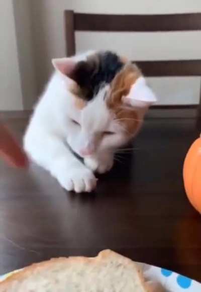 If I close my eyes, you Can’t see me