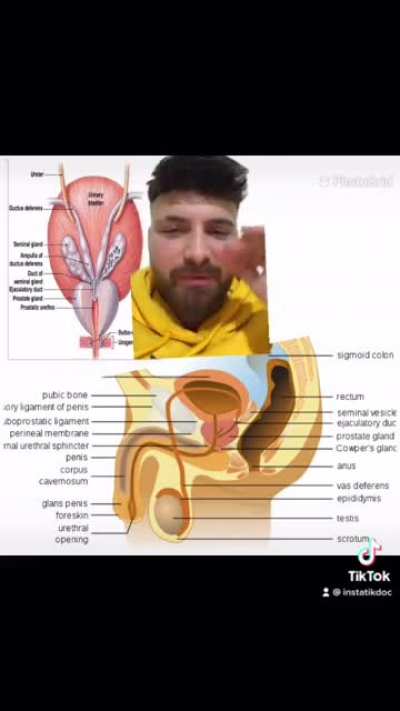 Whats in semen? look at this video to find out, any constructive criticism is welcome ( @instatikdoc on tiktok for the captions if you don’t understand my accent 😂)