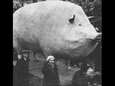 he is here