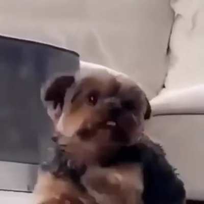My heart is melting