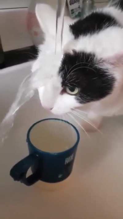 Mlem Mlem mlem mlem