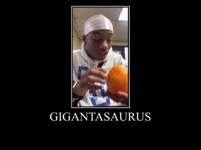 Ginaminunoris.