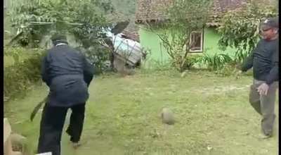 HMB 