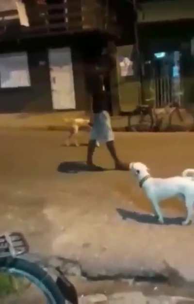 ele foi consumido