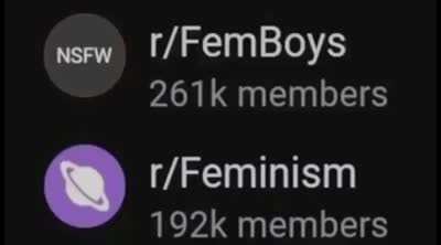 society