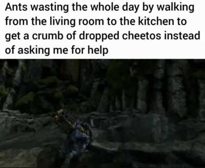 i fucking hate ants, let me help you retars😡😡😡😡