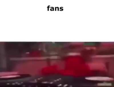 Fans