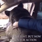 Misha is on his way